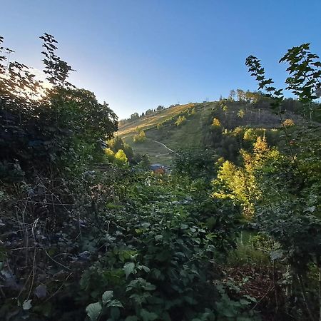 Platell Ferienhausverwaltung Sankt Andreasberg Dış mekan fotoğraf