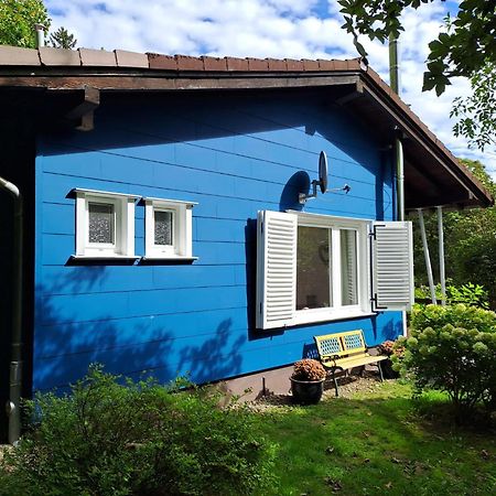 Platell Ferienhausverwaltung Sankt Andreasberg Dış mekan fotoğraf